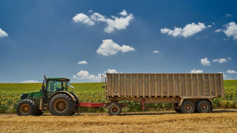 Parajara Moraes Alves Junior